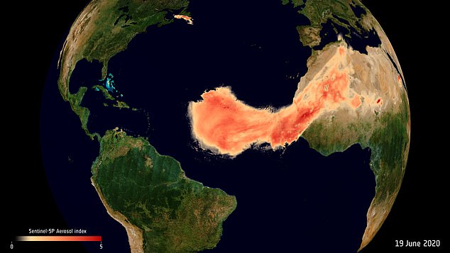 The 2020 plume of smoke was the largest on record, which is why it was named 