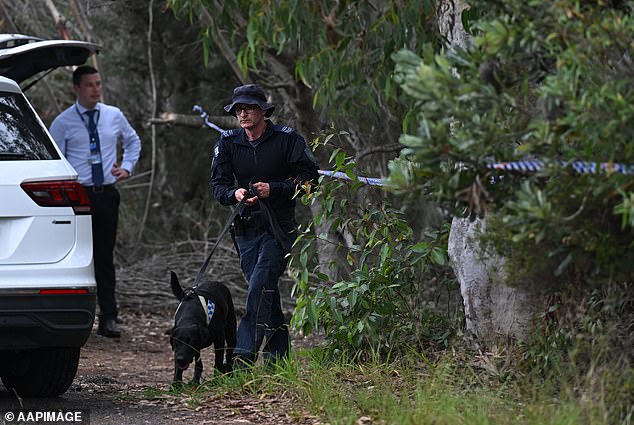 The bodies were found near a roadside fence in regional New South Wales (pictured, police search for the bodies of Mr Baird and Mr Davies)