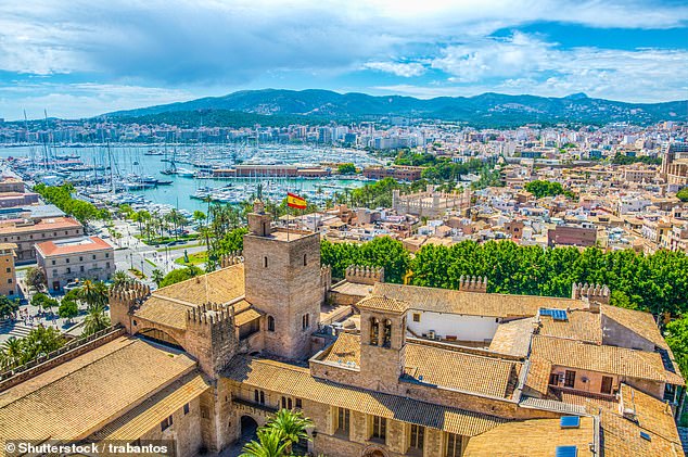 The trainee lawyer had initially planned to visit a friend in Palma de Mallorca and then decided to extend his stay. Pictured: Palma de Mallorca archive photo