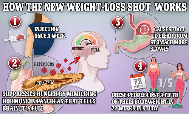 Wegovy and Ozempic work by stimulating the body to produce a hormone called GLP-1 that is naturally released from the intestines after meals.