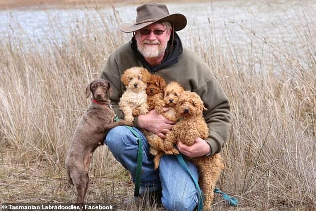 The RSPCA laid 70 charges of overbreeding against Tasmanian labradoodle owners Elizabeth Anne Bartlett and her husband Paul (pictured) nearly 18 months ago