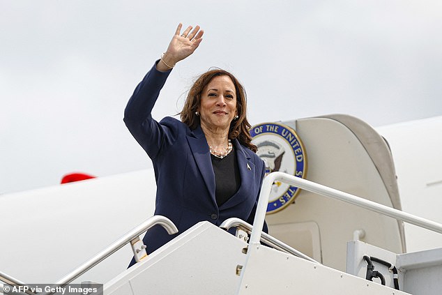 The New York Democrat was one of the last to hold firm that Biden should remain in the race for 2024, and warned that she had been part of conversations in which Democrats had also discussed ousting Harris.