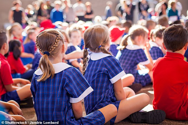 The updated NSW curricula will not only cover core subjects such as history, geography, health and science, but will also include lessons on consent and the human body (file image)