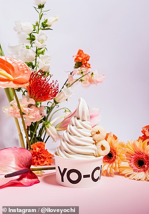 Yo-Chi's Seasonal Lychee Frozen Yogurt