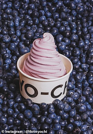 Seasonal frozen yogurt with blueberry flavor