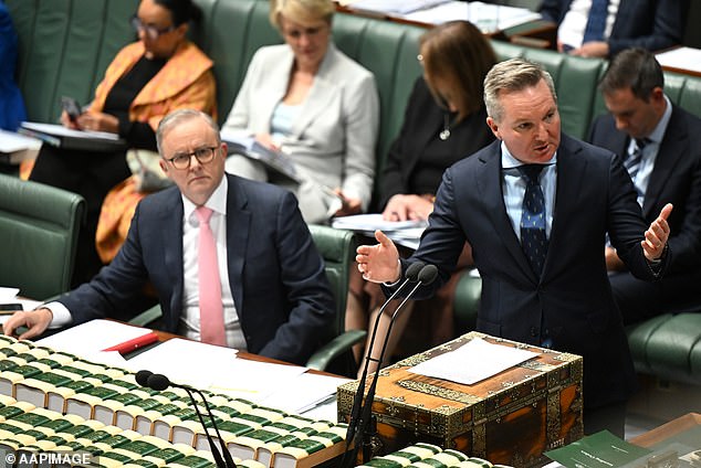 Fordham criticised Albanese (left) for failing to deliver on his promise to cut energy bills by $275 and also attacked Chris Bowen, Australia's Minister for Climate Change and Energy, (right) for 