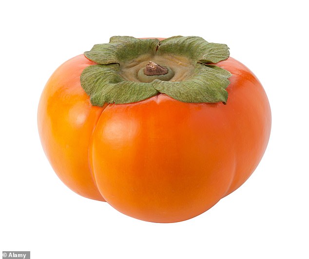 Persimmons, especially green ones, had a tendency to form bezoars due to their high tannin content, a chemical found naturally in plants.