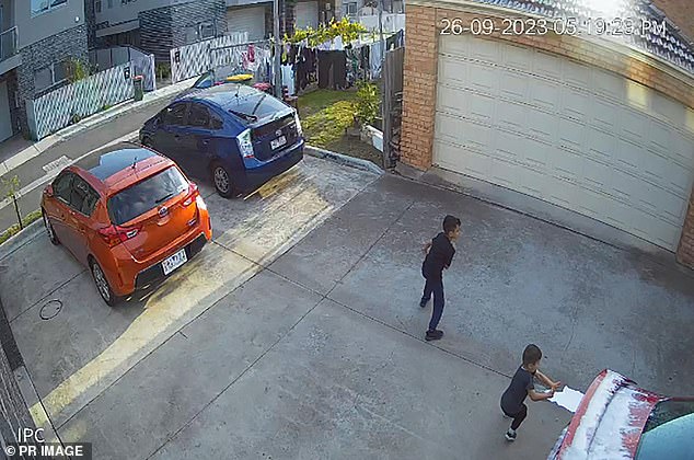 1721865009 522 Australian boy seriously injured trying to save brother from unlicensed