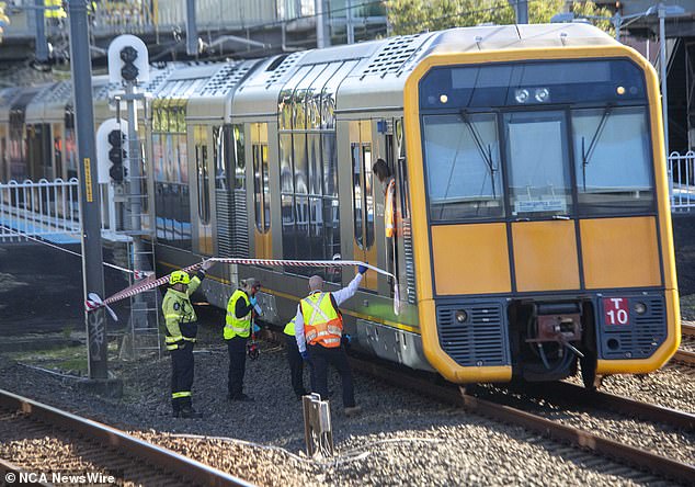 Emergency services and police inspect the scene of the train tragedy in Sydney's south.