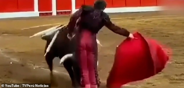 The moment the bull made contact with the 26-year-old matador at the Santiago Fair