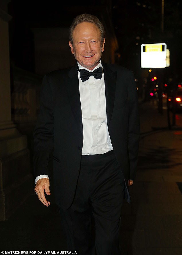 Billionaire mining magnate Andrew 'Twiggy' Forrest (pictured)