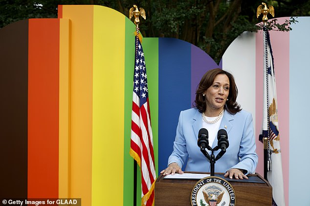 Last year, Harris criticized the record number of anti-LGBTQ state bills that were introduced in state legislatures across the United States (seen in June 2023)