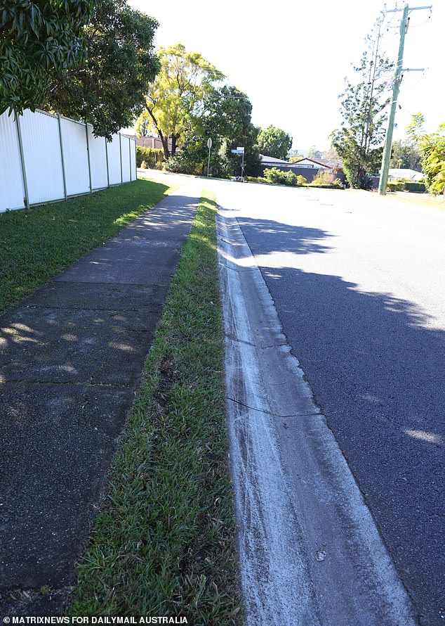 The image shows tire marks in the ditch where Ms. Thompson was allegedly hit.