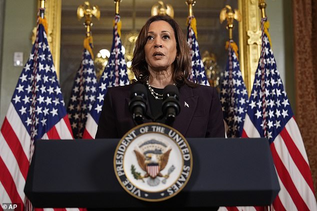 Harris made rare comments after a meeting with a world leader as she steps up her role in the White House and on the campaign trail this week as the Democratic presidential nominee.