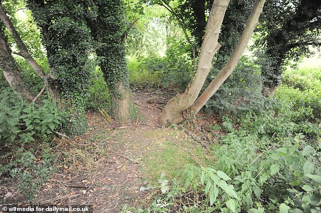 Clifford, 26, was discovered by police near gravestones at Enfield's Lavender Hill Cemetery.