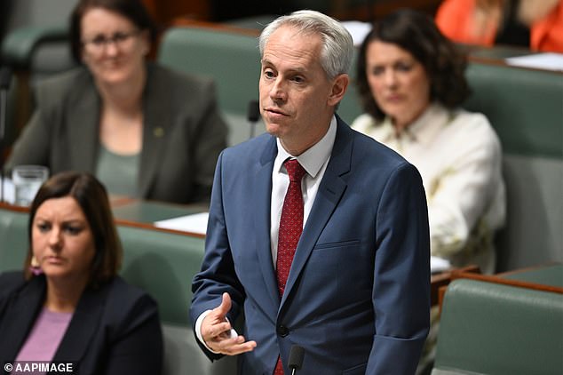 In the spotlight: Immigration Minister Andrew Giles