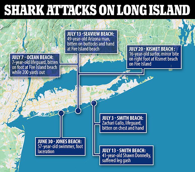 1721975200 686 The alarming increase in sharks in these waters off the