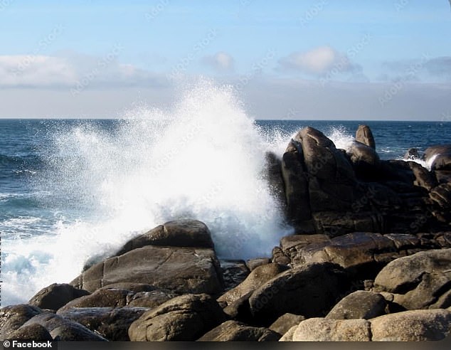 The couple, from San Jose, were standing on rocks near Mitchell's Cove below West Cliff Drive taking a photo when the wave swallowed them up.