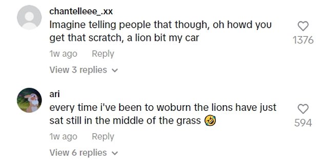 Viewers of the video were left in hysterics at the prospect of the family eventually having to explain the situation to their car insurance company.