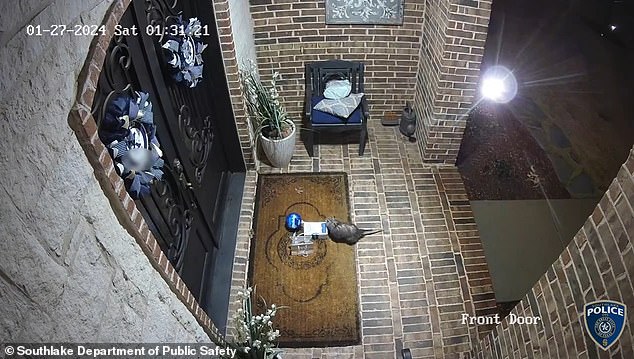 The footage shows the porch pirate quickly heading towards the gift sets and sniffing around.