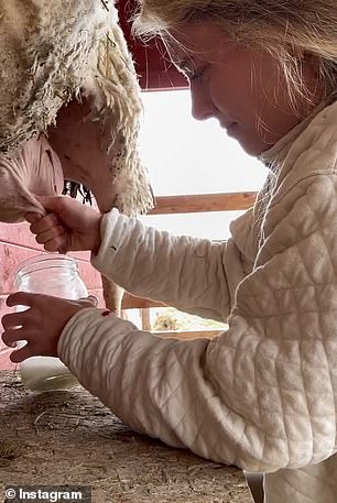 Hannah's Instagram feed consists of snaps showing the blonde beauty baking fresh sourdough, tending to livestock or dancing in her rustic kitchen with her kids.