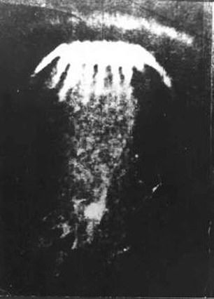 This squid was sighted in Russia in 1977 (MUFON)