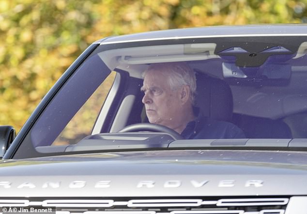 The royal was also pictured behind the wheel of his Range Rover, with an expression suggesting he was deep in thought.