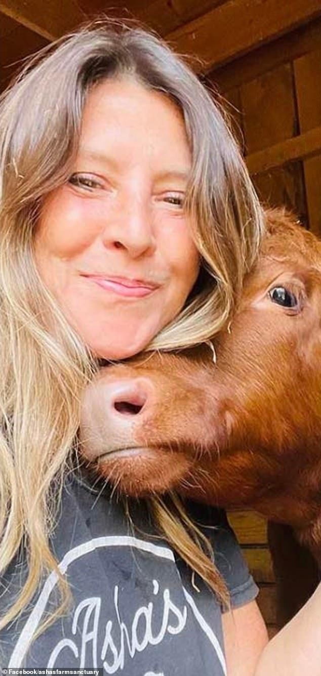 Animal rights activist Tracy Murphy refused to return the cows after they stumbled onto her property, sparking anger in the local community.