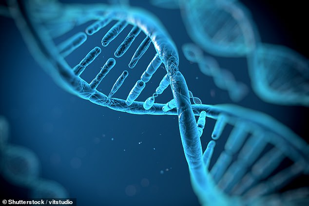 DNA methylation tests show how closely special molecules called methyl groups have attached themselves to the DNA of cells. They have been described as being like barnacles that attach themselves to the hull of a ship and slow it down.