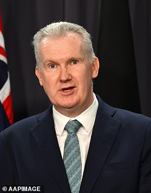 New Home Office chief Tony Burke