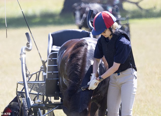 Like many other members of the Royal Family, Lady Louise (pictured) enjoys horse riding and driving carriages.