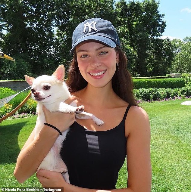 Nicola Peltz is preparing to take legal action against a dog groomer following the sudden death of her Chihuahua Nala