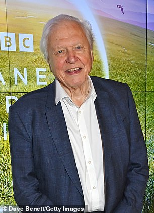 Kyle Sandilands has revealed the reason for his bizarre feud with beloved biologist Sir David Attenborough