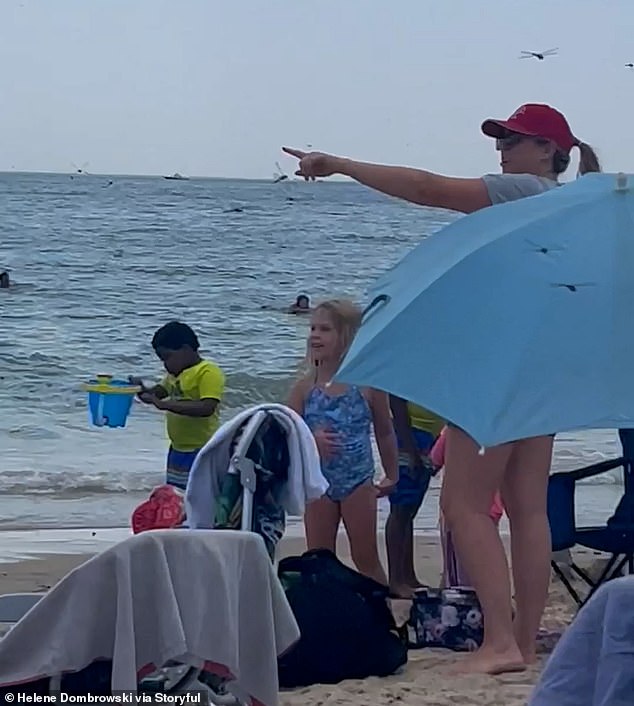 A bather points out a swarm of dragonflies invading the beach on Saturday afternoon.