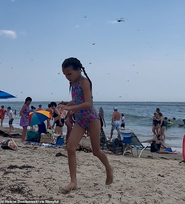 Some beachgoers were heard screaming as a cloud of insects invaded Misquamicut State Beach in Westerly on Saturday, while others laughed at the scene.