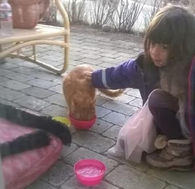 A childhood photograph of Emilia shows her carefully petting a cat while wearing a pink dress.