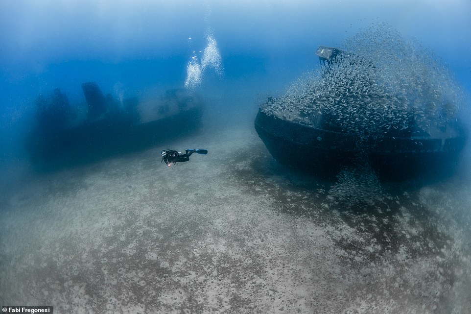 The image above shows a diver swimming among the wreckage of the Taurus in Recife, Brazil. Fabi says: 