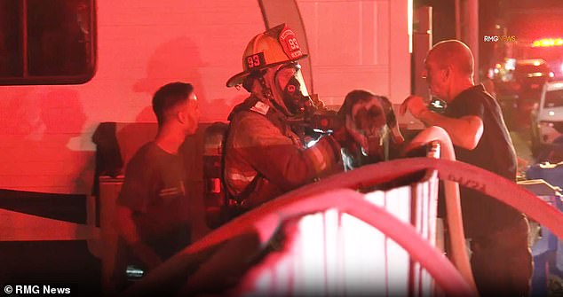 A member of the Los Angeles Fire Department heroically emerged from the burning structure and delivered Cheetah to her owner.