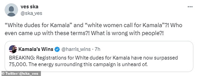 1722293474 790 Dystopian White Women for Kamala rally compared to Black Mirror