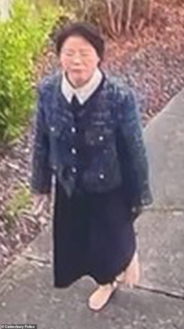 The Chinese national was last seen in the western Christchurch suburb of Hornby at 10am on the day she disappeared (pictured).