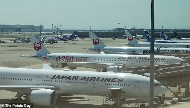 Japan Airlines passenger planes docked at Tokyo's Haneda airport