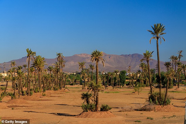 The woman is believed to have been spending her holiday at a hotel in the Sidi Ibrahim oasis area, pictured, on the outskirts of Marrakech.