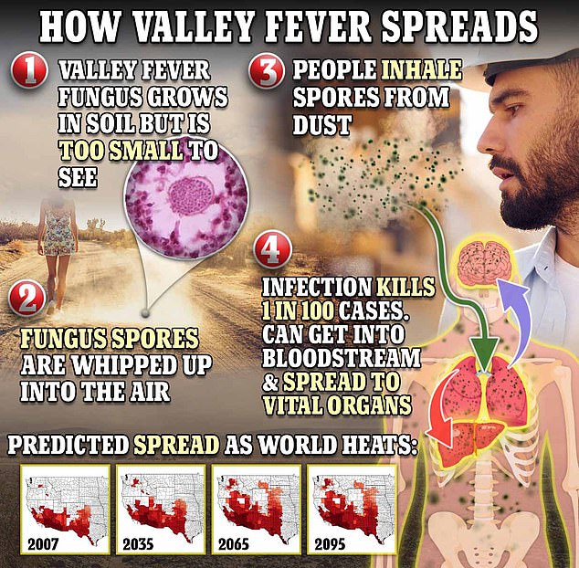 Valley fever is caused by the fungus Coccidioides, which releases spores into the air when soil is disturbed, which are then inhaled by people.