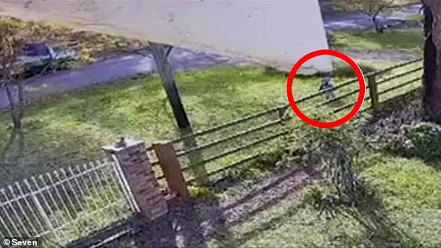 Security cameras show Xavier wandering away from the family home in search of babysitters.