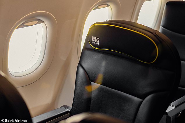 A 'big front seat' is one of the benefits offered by the 'Go Big' fare option