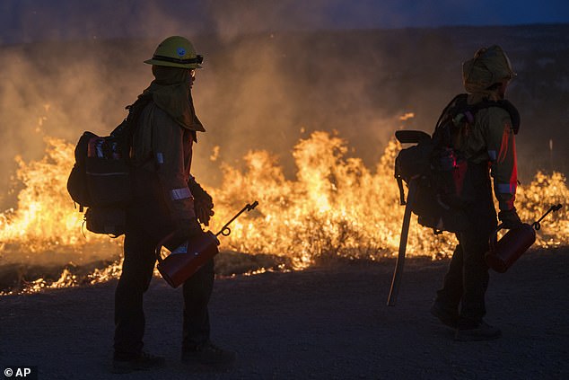 The Park Fire (pictured Monday) has grown to the size of Los Angeles since it began July 24 in Chico. As of Tuesday morning, it was only 14 percent contained.