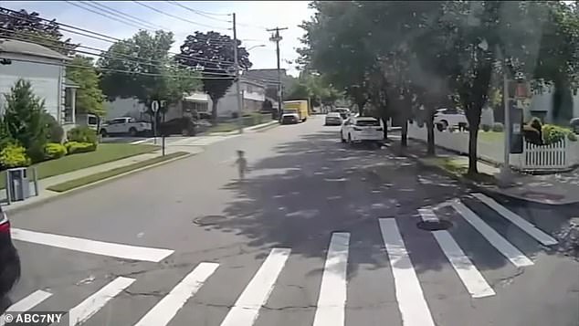 Cars sped by on the street as the boy ran, with no parent following him.