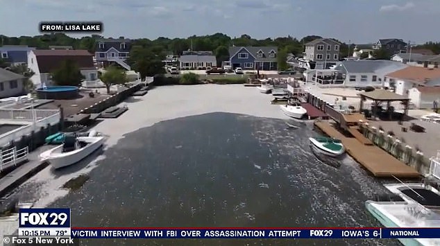 The lagoon has been flooded with tens of thousands of dead fish.