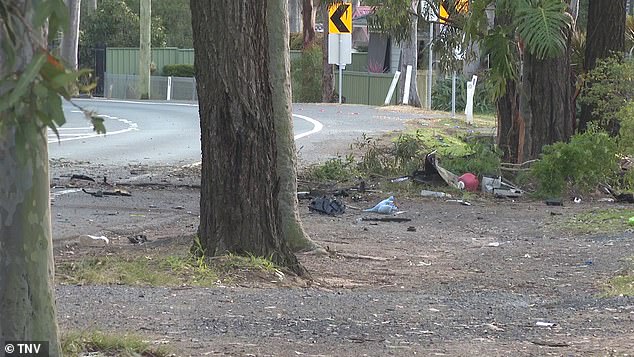 The van was travelling on the Pacific Highway at Charmhaven when it veered off the road and crashed into a tree at around 1.30am on Wednesday.