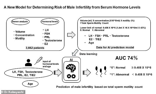 This graphical summary explains the new model for determining male infertility risk from blood hormone levels.